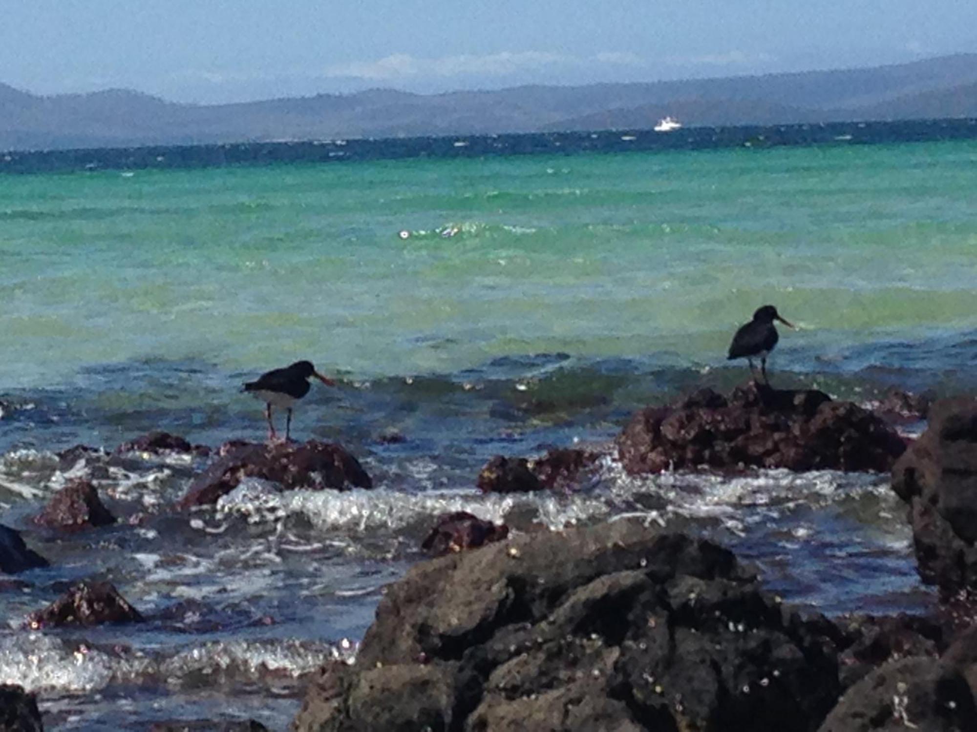 Convict Beach House Saltwater River エクステリア 写真